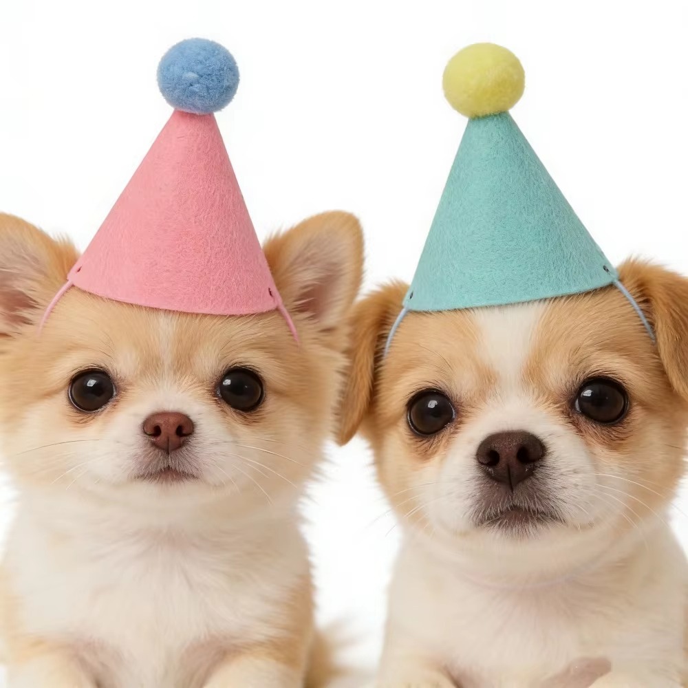 6/12 buah Topi Pesta Mini yang - Party Hat Cone ulasan dan harga